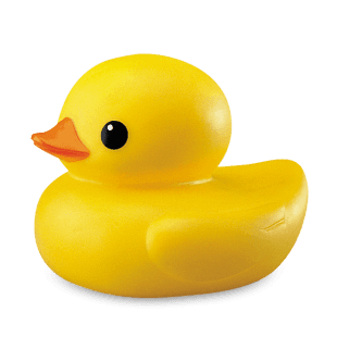 Duck Toy